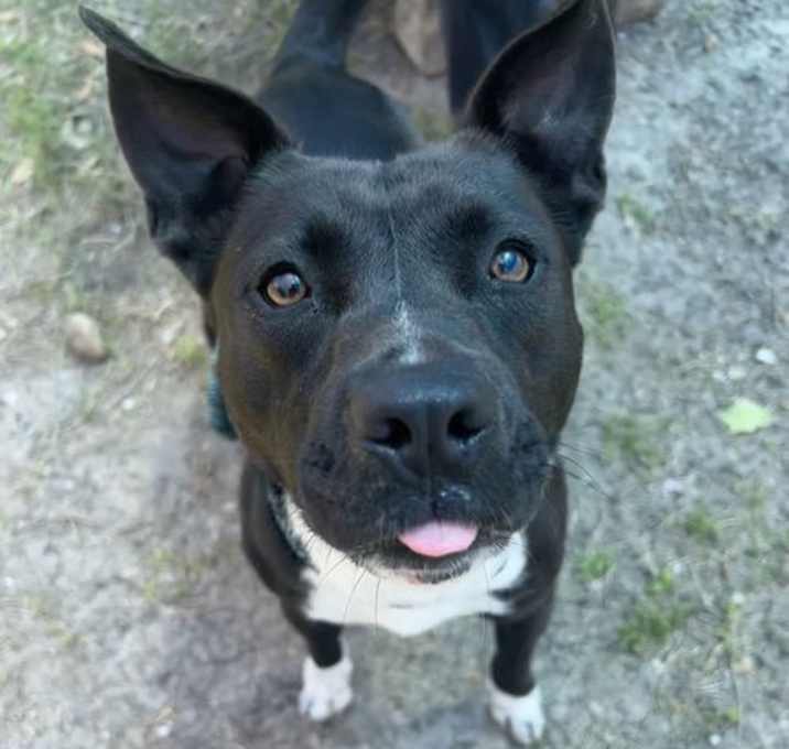 Photo of Amelia