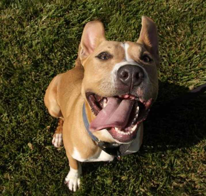 Photo of LUNA