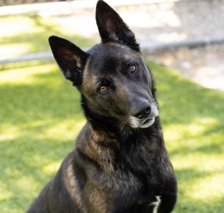 Photo of *CLARK