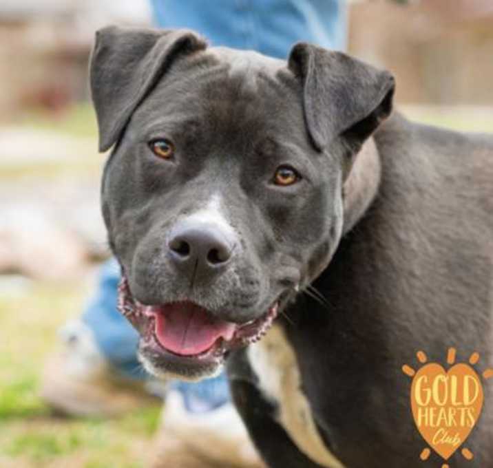 Photo of Hermes