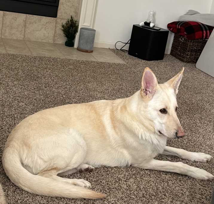 Photo of Cleo