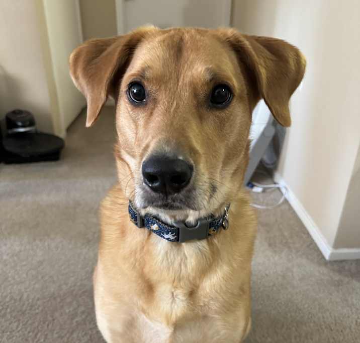 Photo of Kaydo