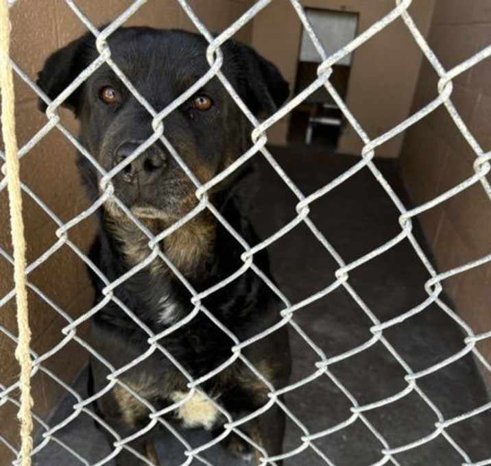 Photo of Dakota