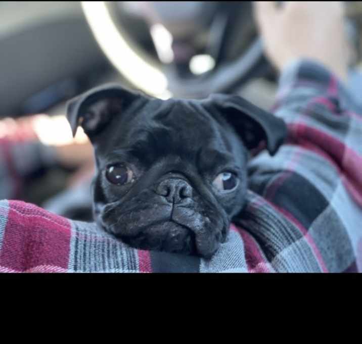 Photo of Ellie