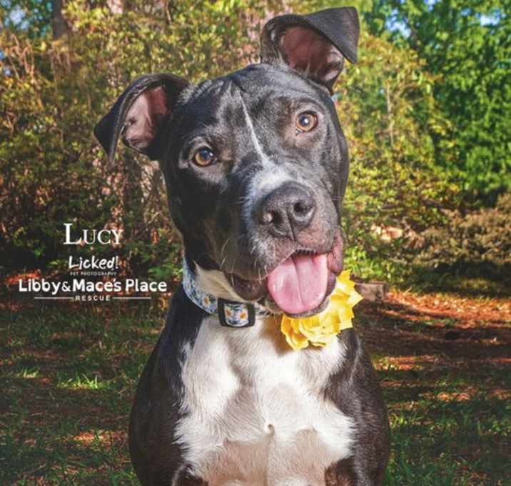 Photo of Lucy