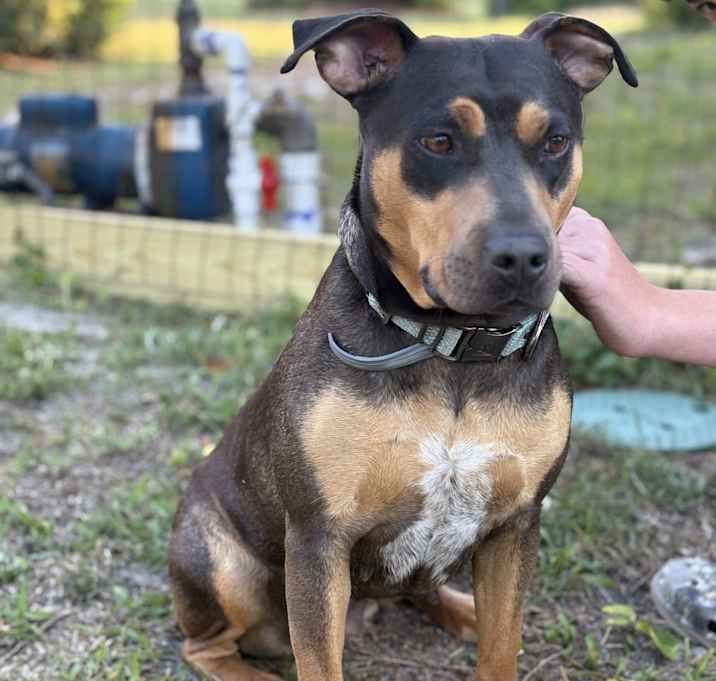 Photo of Bella