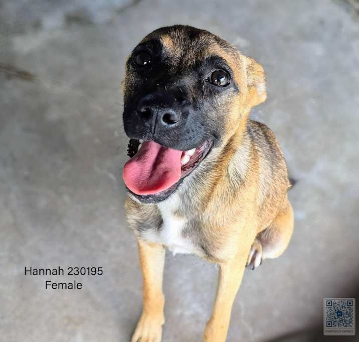 Photo of Hannah