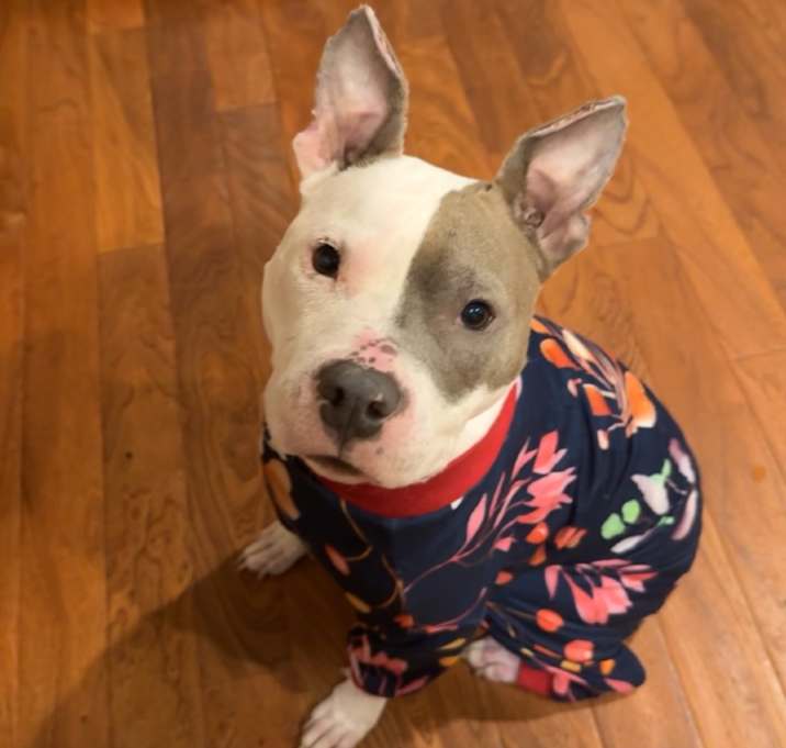 Photo of Bonnie