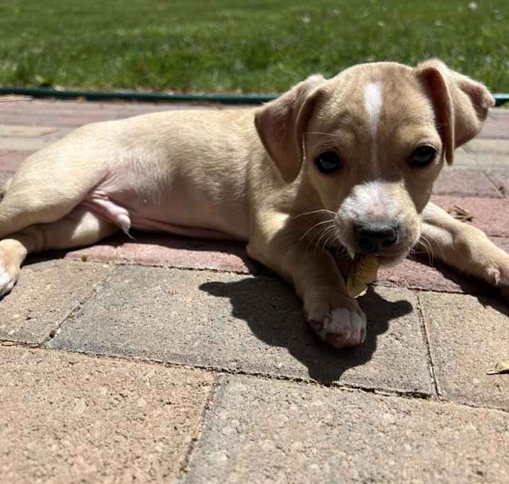 Photo of Titan