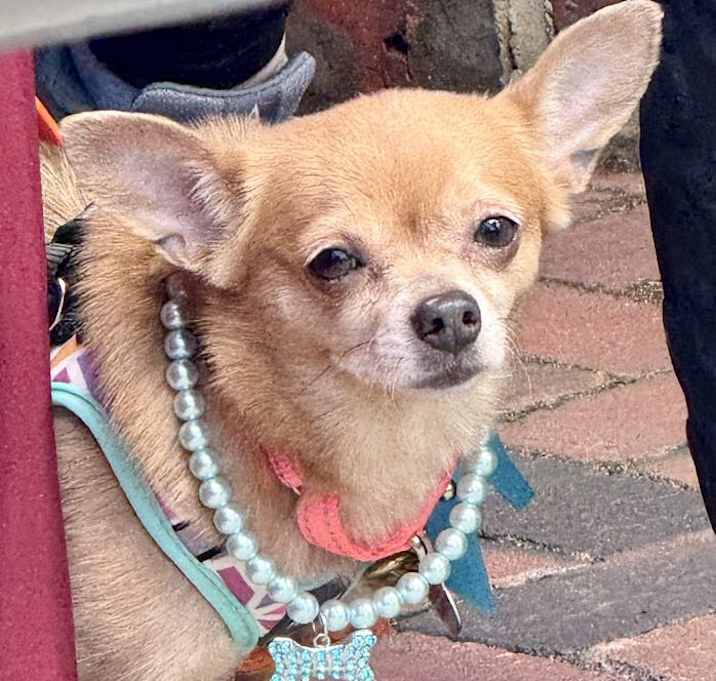 Photo of O'Rora