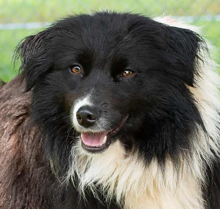 Photo of Lily