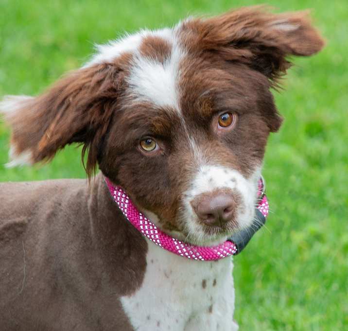 Photo of Oakley