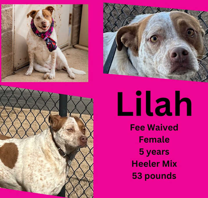 Photo of Lilah