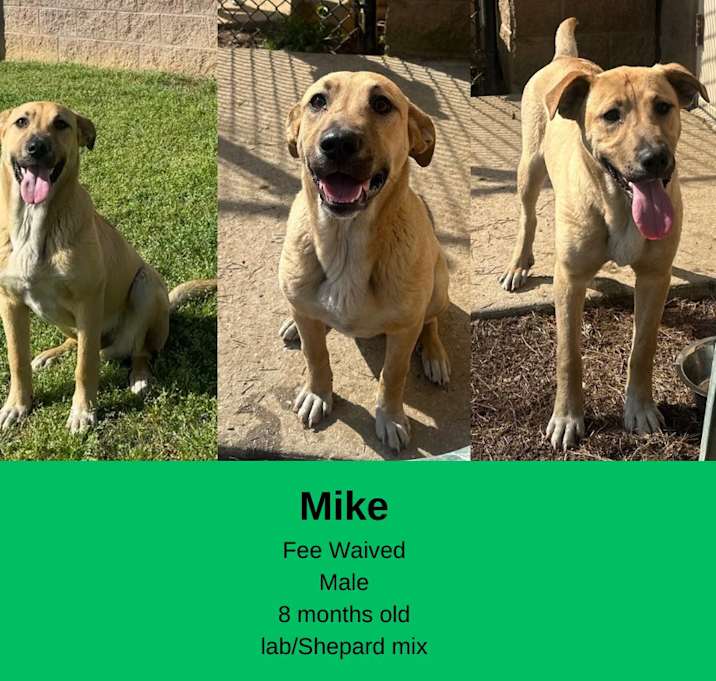 Photo of Mike