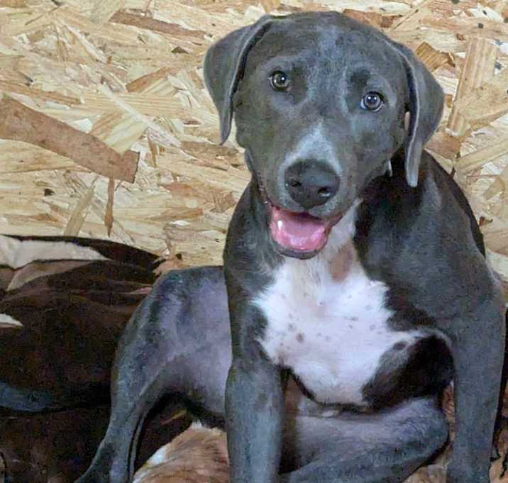 Photo of Grayson