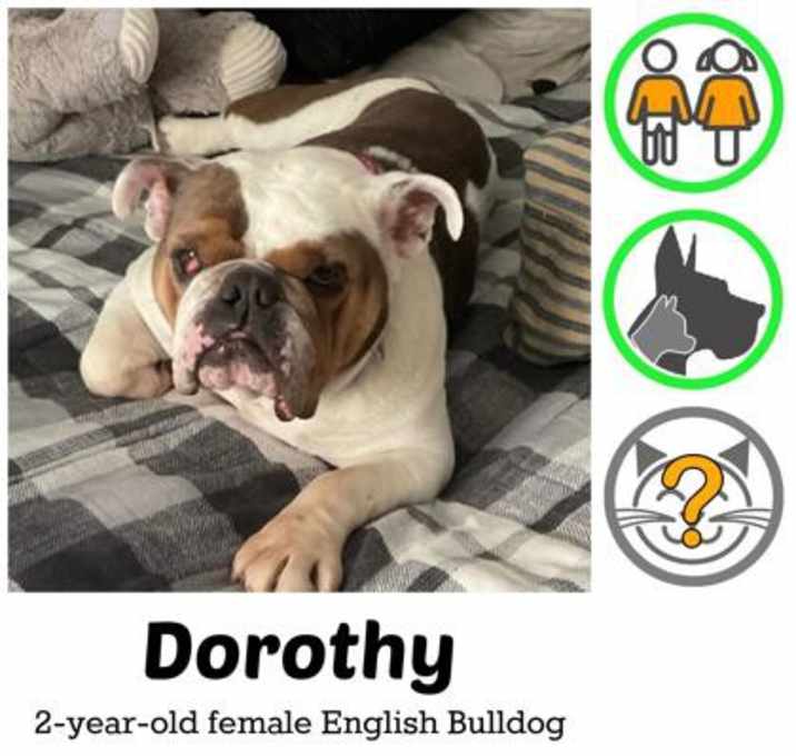 Photo of Dorothy