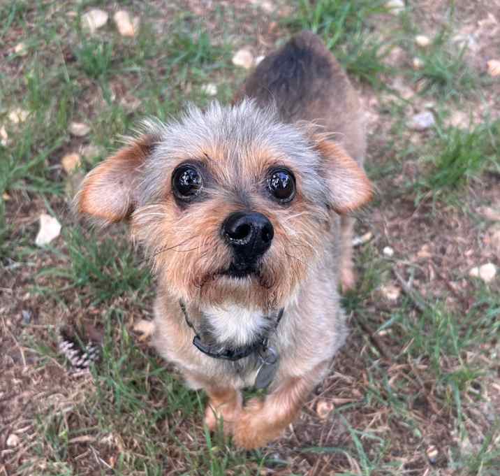 Photo of Foxy Bella 