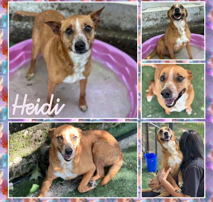 Photo of Heidi