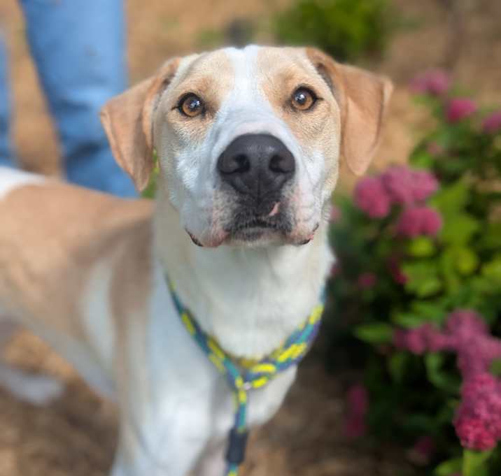 Photo of Muddy Buddy