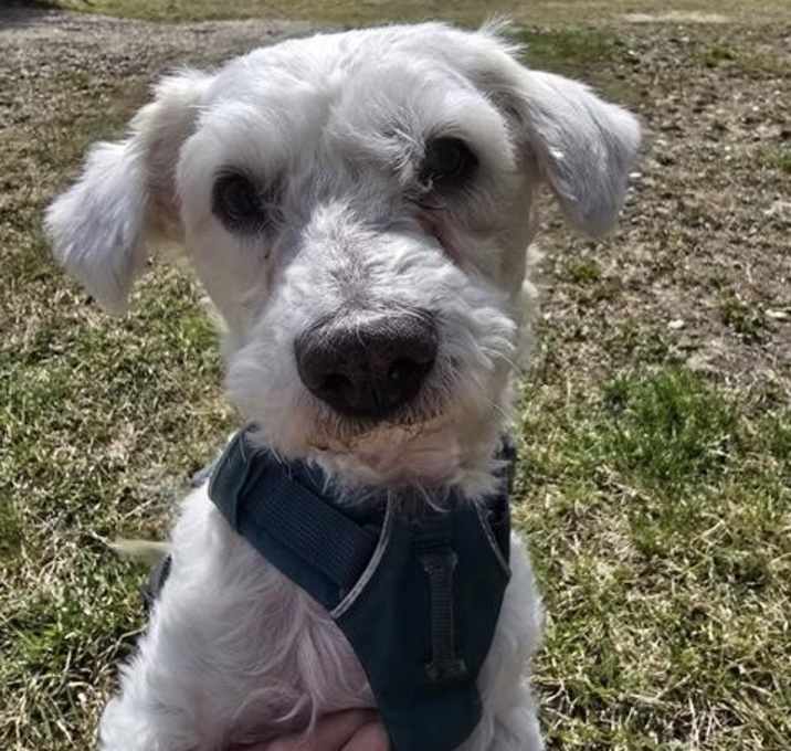 Photo of *MOE