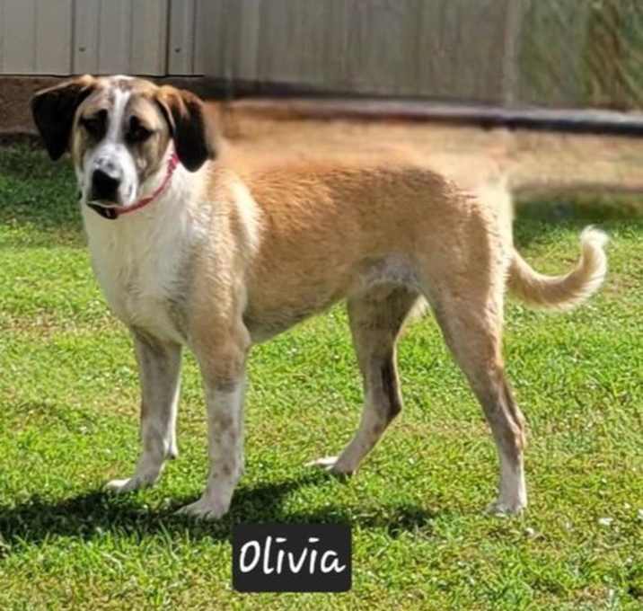 Photo of Olivia