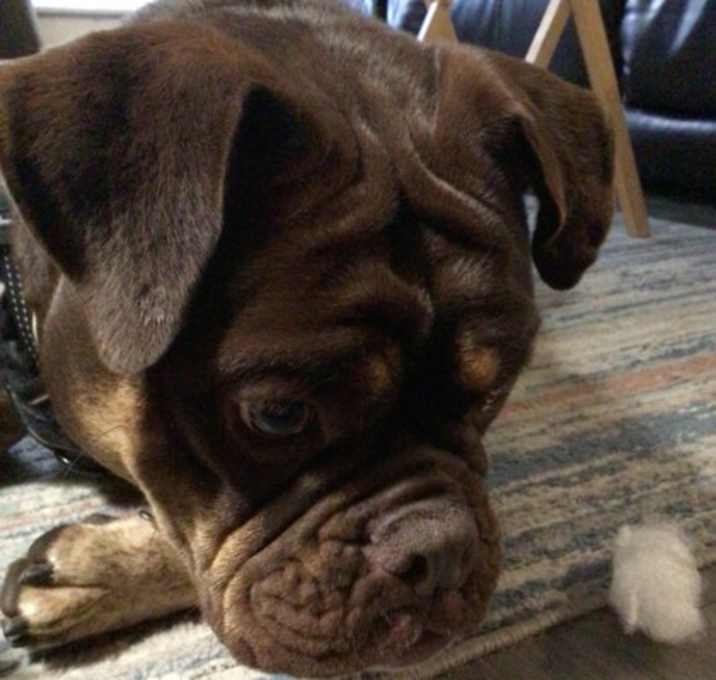 Photo of Charlie Brown