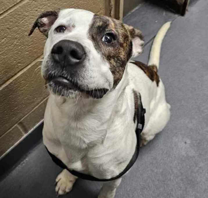 Photo of Gus