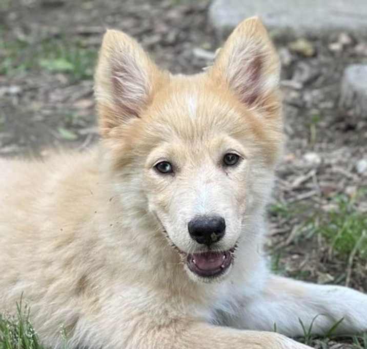 Photo of Cosette