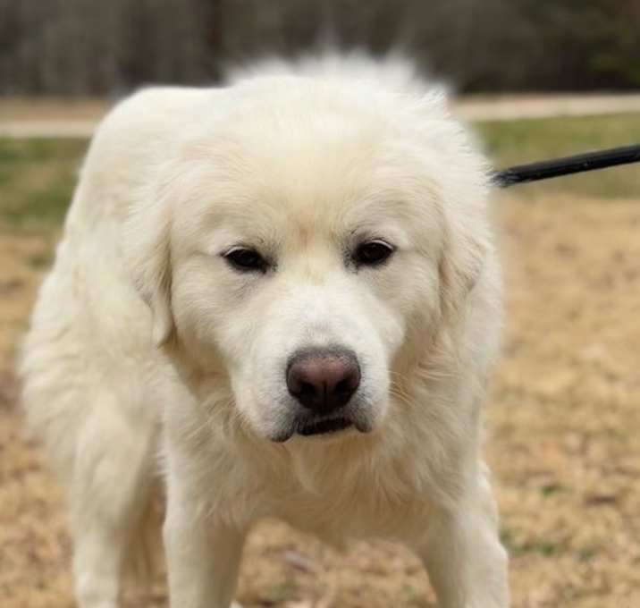 Photo of Sam