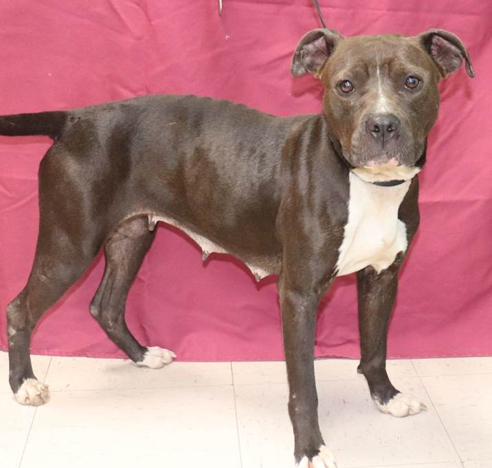 Photo of Remi