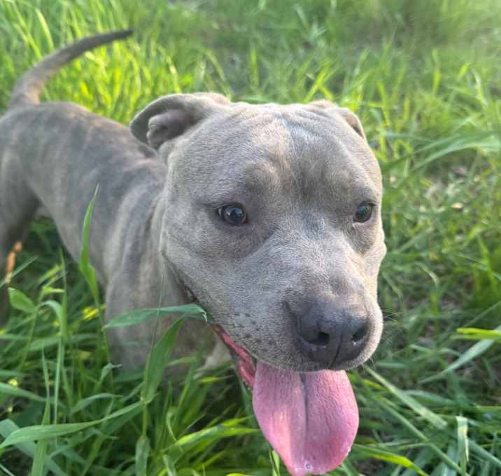 Photo of Winky