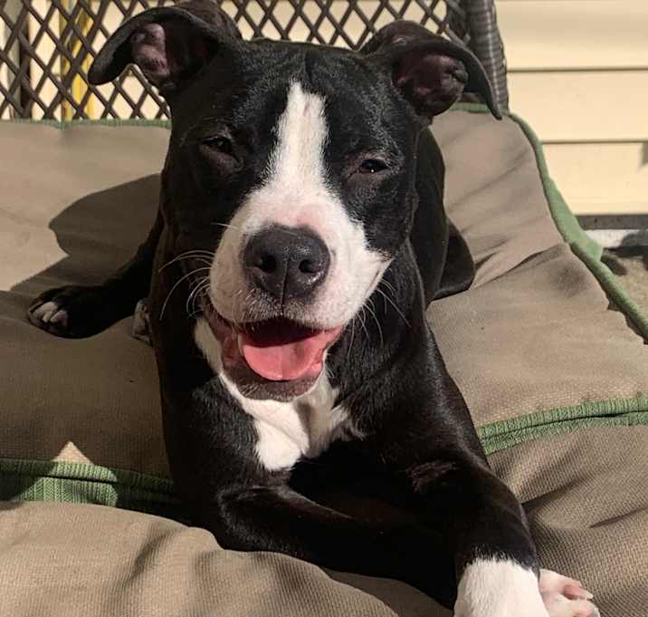 Photo of Bonnie
