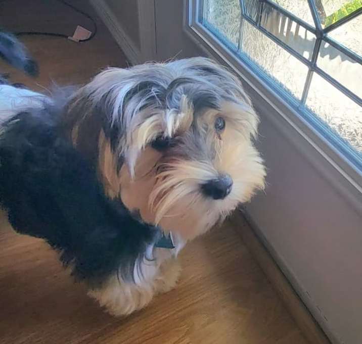 Photo of Bagel
