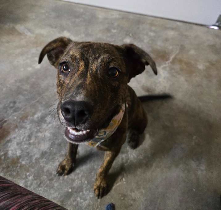 Photo of Tigger