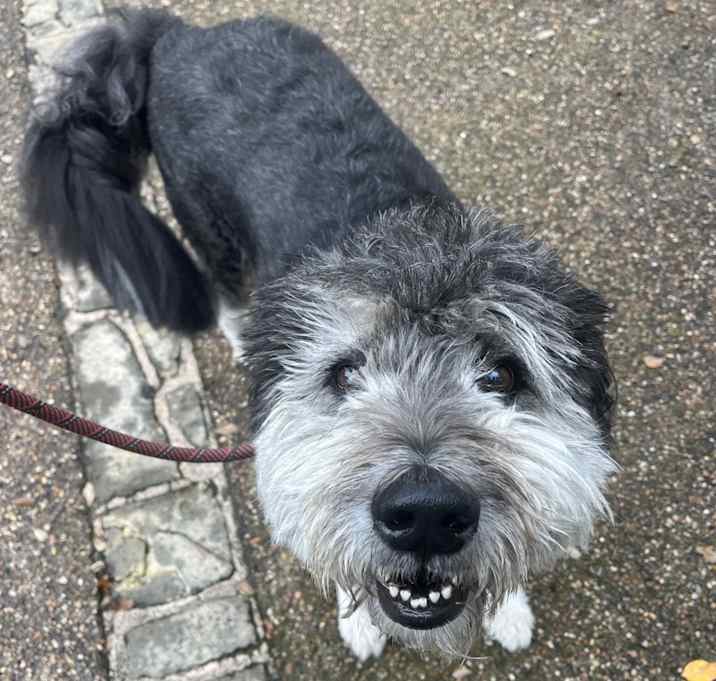 Photo of Tannie