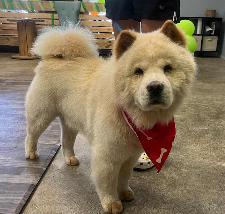 Photo of Pooh Bear
