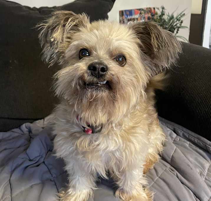 Photo of Junior