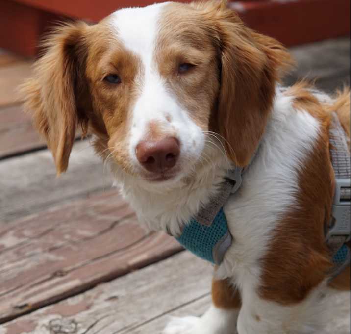 Photo of Betsy