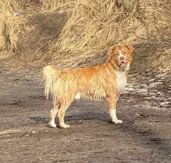 Photo of Kaiser