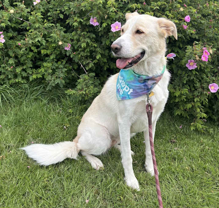Photo of Charlie
