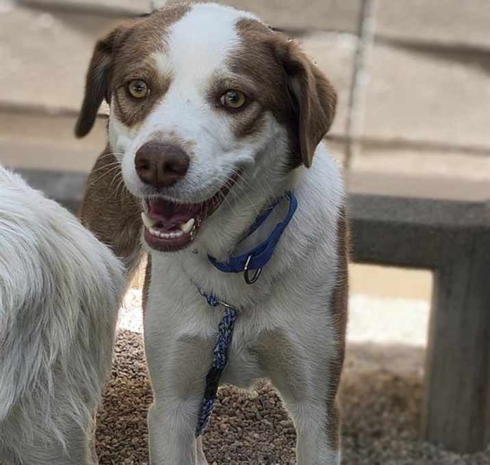 Photo of PENNY