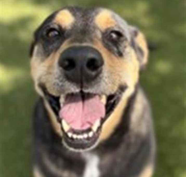 Photo of MILO