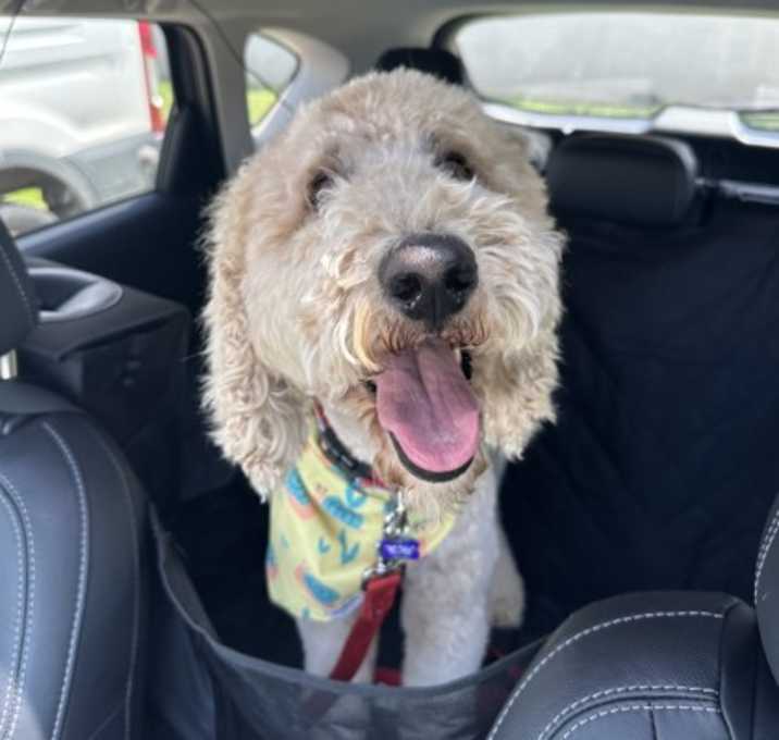 Photo of Rumble