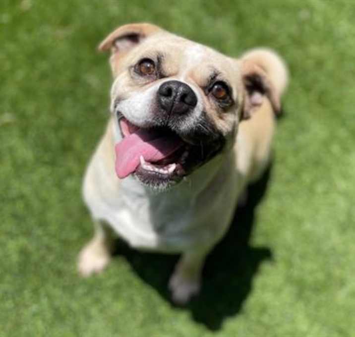Photo of GIGI