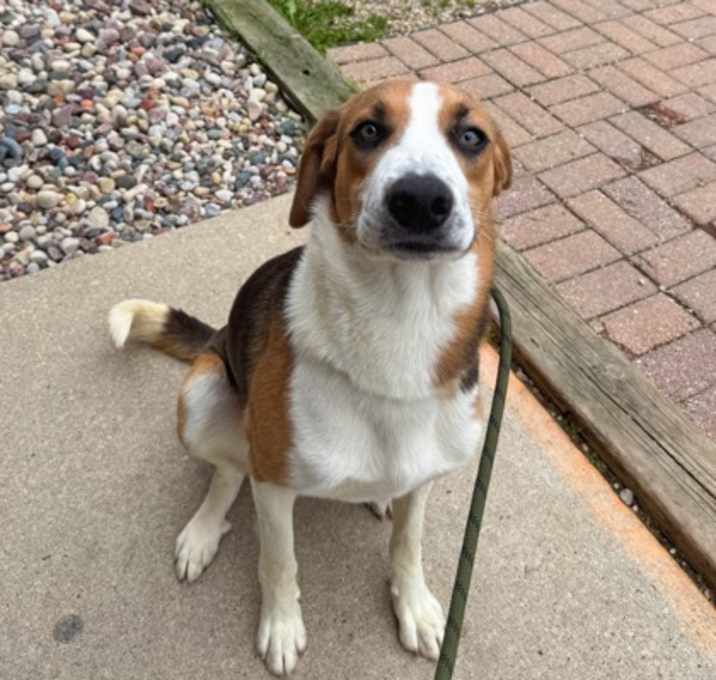 Photo of Ranger