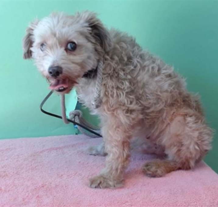 Photo of FALKOR