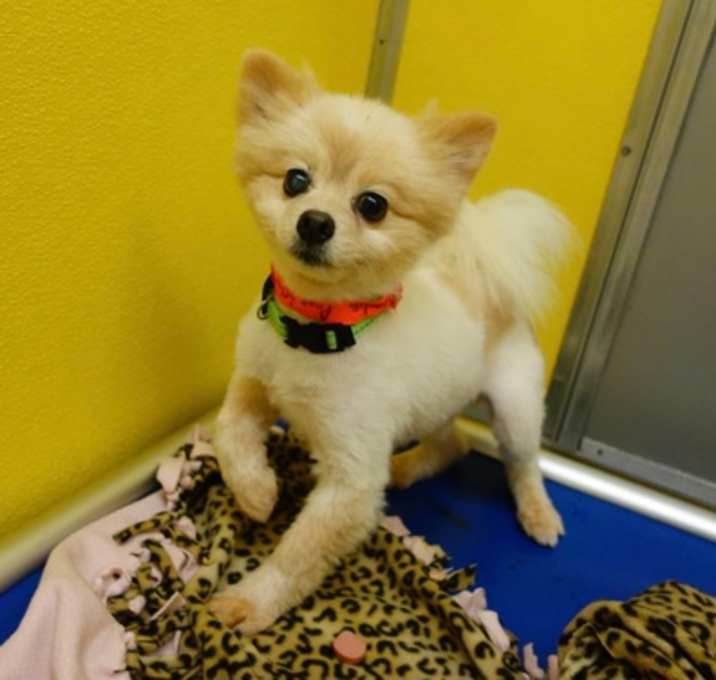 Photo of Charlie