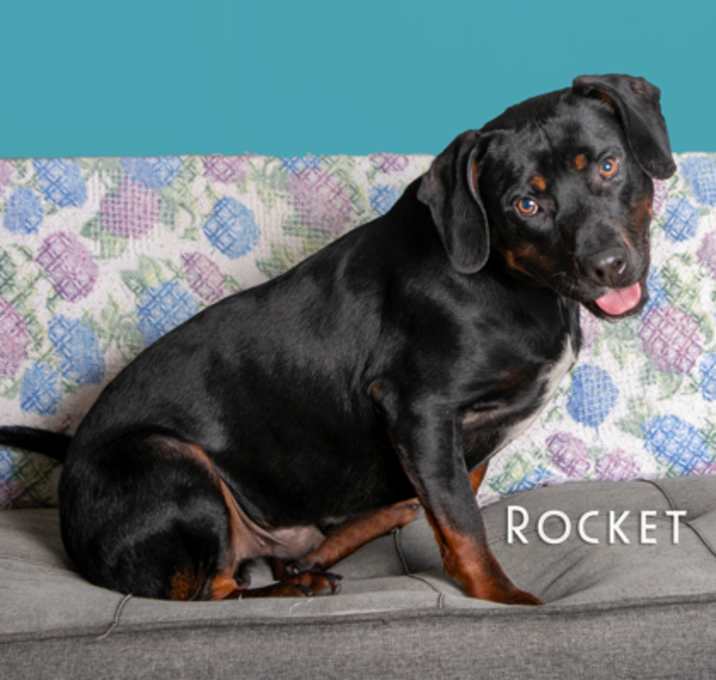 Photo of Rocket