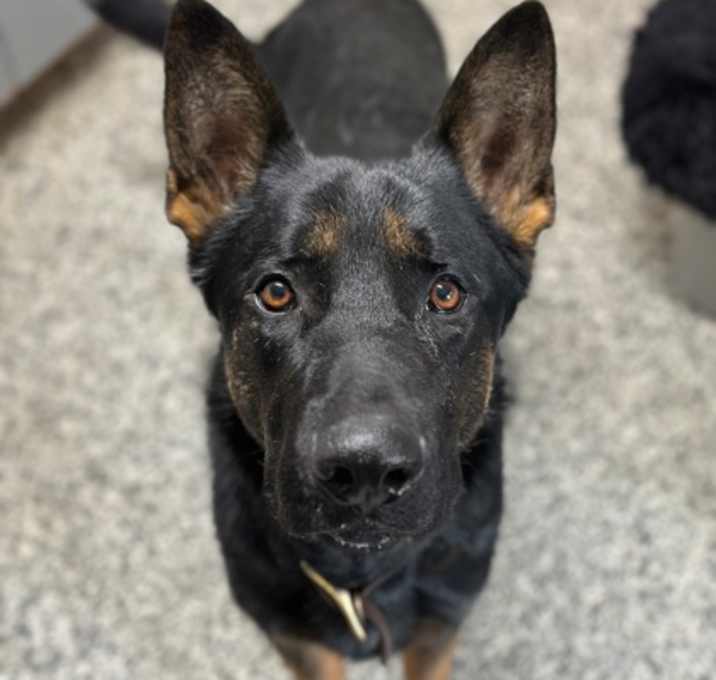Photo of Cash