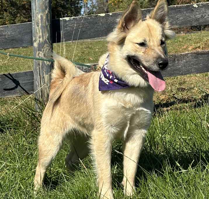 Photo of Kizzy